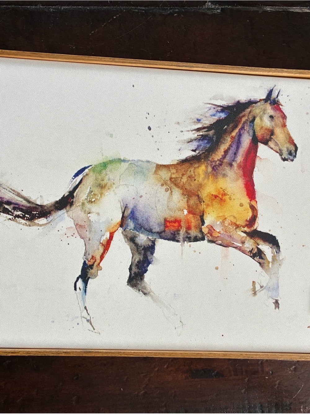 Multicolor Horse Wall Art big sky Carver’s free spirit horse